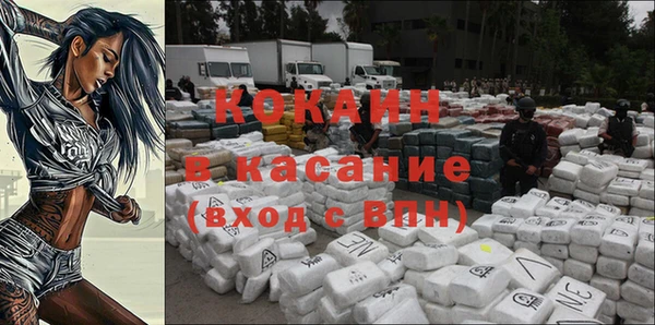 сатива Аркадак