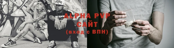 сатива Аркадак
