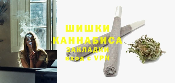 сатива Аркадак