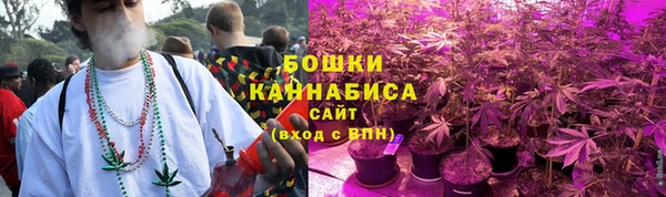 крисы Армянск