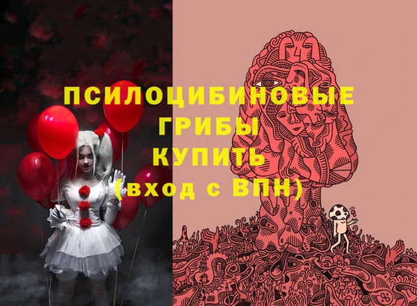 mdpv Арсеньев