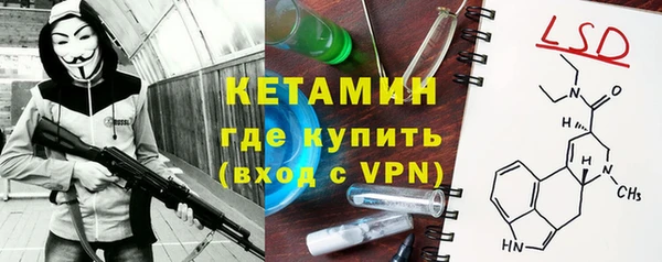крисы Армянск