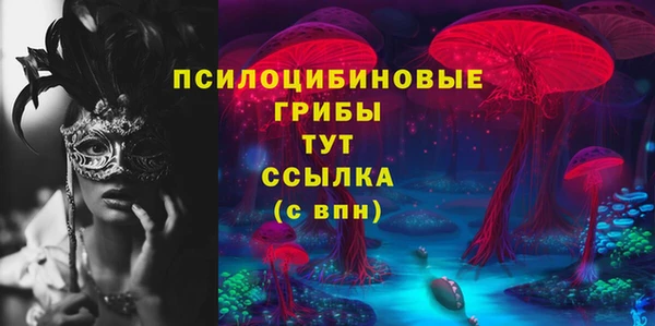 крисы Армянск