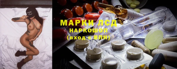 сатива Аркадак