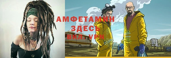 сатива Аркадак